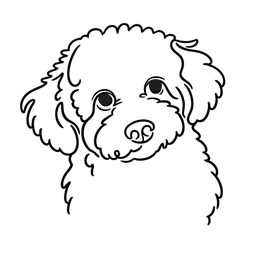 Nom du chien